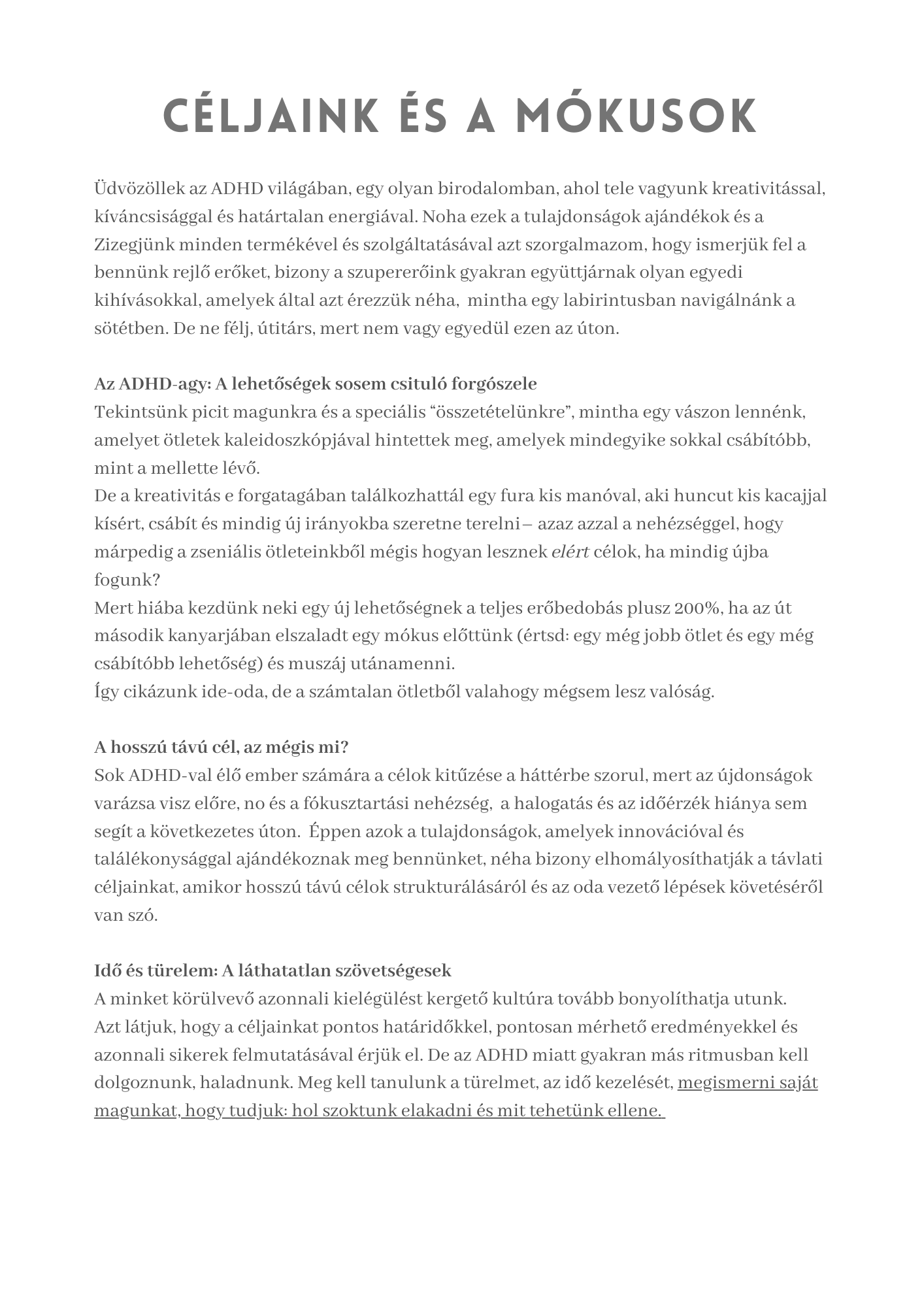 Maradj fókuszban- célállítási munkafüzet ADHD-val élő felnőtteknek